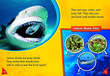 Lemon Sharks - Rebecca Pettiford [KSIĄŻKA]