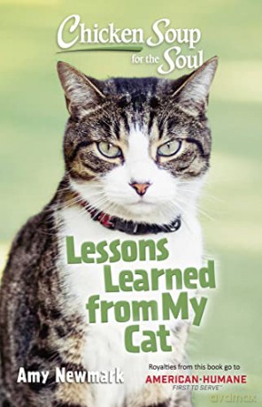 Lessons Learned From My Cat - Amy Newmark [KSIĄŻKA]