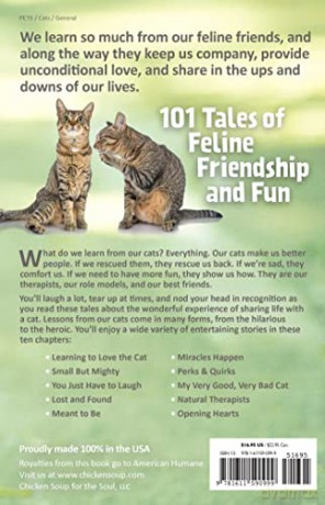 Lessons Learned From My Cat - Amy Newmark [KSIĄŻKA]