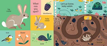 Lets Go Home Baby Rabbit - Carolina Buzio [KSIĄŻKA]