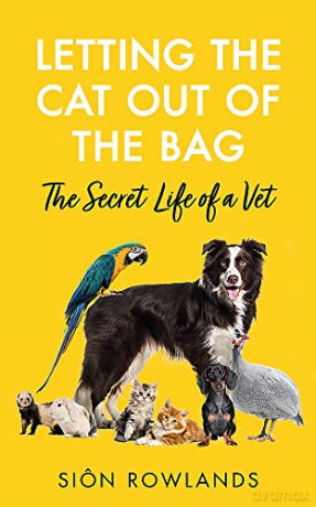 Letting The Cat Out Of The Bag - Sion Rowlands [KSIĄŻKA]