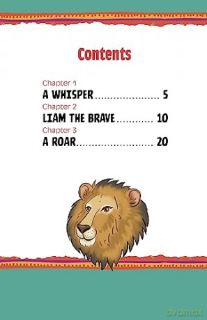 Liam The Lion - Andrew Stark [KSIĄŻKA]