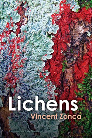 Lichens - Vincent Zonca [KSIĄŻKA]