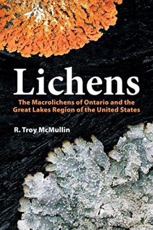 Lichens - R Troy Mcmullin [KSIĄŻKA]
