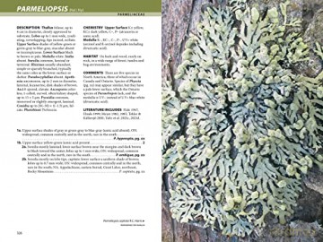 Lichens - R Troy Mcmullin [KSIĄŻKA]