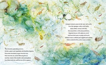 Life - Elli Woollard [KSIĄŻKA]