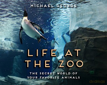 Life At The Zoo - Michael George [KSIĄŻKA]