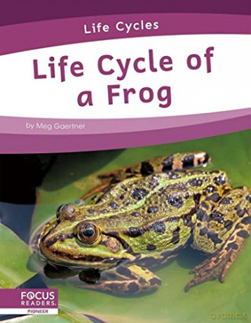 Life Cycle Of A Frog - Meg Gaertner [KSIĄŻKA]