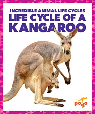 Life Cycle Of A Kangaroo - Karen Latchn Kenney [KSIĄŻKA]