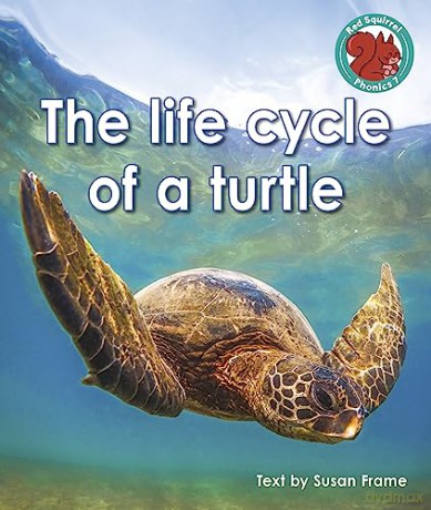 Life Cycle Of A Turtle - Susan Frame [KSIĄŻKA]