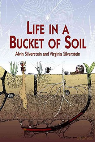 Life In A Bucket Of Soil - Silverstein And [KSIĄŻKA]