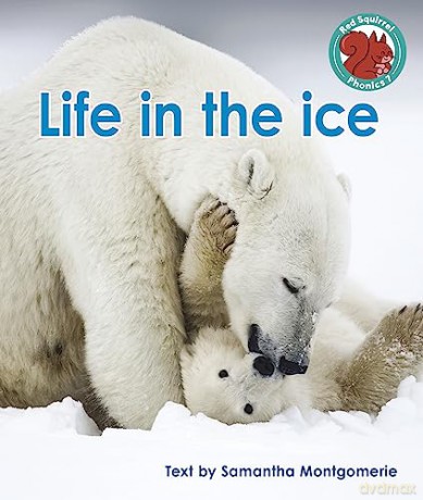 Life In The Ice - Samanth Montgomerie [KSIĄŻKA]