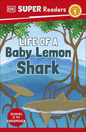 Life Of A Baby Lemon Shark Level 1 [KSIĄŻKA]