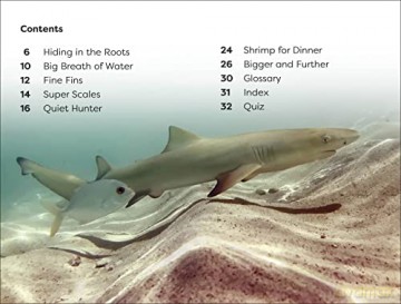 Life Of A Baby Lemon Shark Level 1 [KSIĄŻKA]