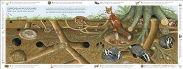 Life Underground [KSIĄŻKA]