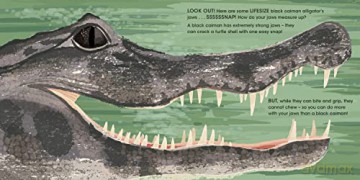 Lifesize Deadly Animals - Sophy Henn [KSIĄŻKA]