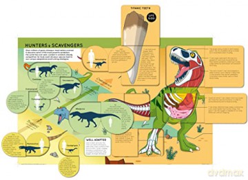 Lift The Flaps Dinosaurs [KSIĄŻKA]