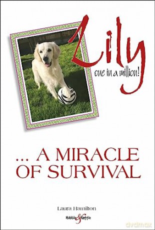 Lily One In A Million - Laura Hamilton [KSIĄŻKA]