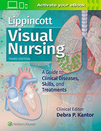 Lippincott Visual Nursing 3e Pb - Kantor [KSIĄŻKA]