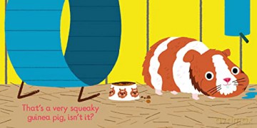 Listen To The Pets Sound Book - Marion (Ill) Billet [KSIĄŻKA]