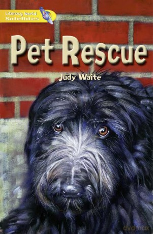 Literacy World Satellites Fiction Stg 1 - Waite Judy [KSIĄŻKA]