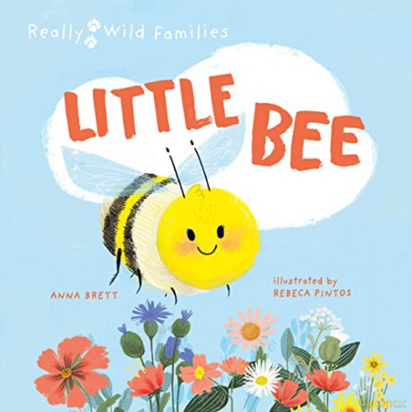 Little Bee - Anna Brett [KSIĄŻKA]