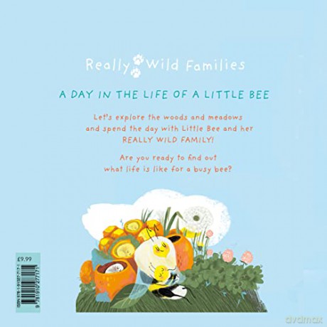 Little Bee - Anna Brett [KSIĄŻKA]