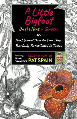Little Bigfoot - Pat Spain [KSIĄŻKA]
