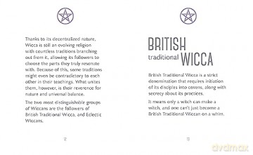 Little Book Modern Witchcraft - Jacqueline Towers [KSIĄŻKA]