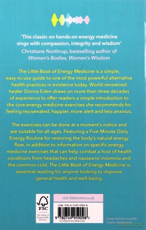 Little Book Of Energy Medicine - Donna Eden [KSIĄŻKA]