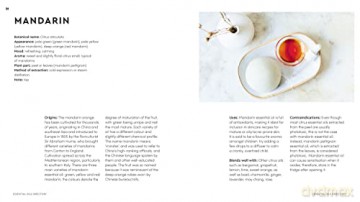 Little Book Of Essential Oils - Marta Tarallo [KSIĄŻKA]