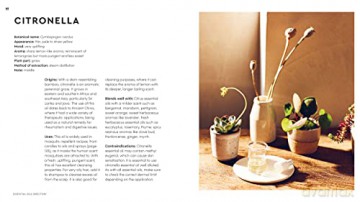 Little Book Of Essential Oils - Marta Tarallo [KSIĄŻKA]