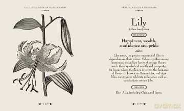 Little Book Of Floriography - Orange Hippo [KSIĄŻKA]