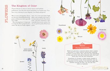 Little Book Of Flower Pressing - Laetitia Lazerges [KSIĄŻKA]