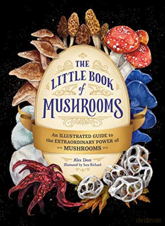 Little Book Of Mushrooms - Alex Dorr [KSIĄŻKA]