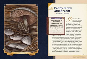 Little Book Of Mushrooms - Alex Dorr [KSIĄŻKA]
