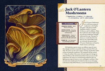 Little Book Of Mushrooms - Alex Dorr [KSIĄŻKA]
