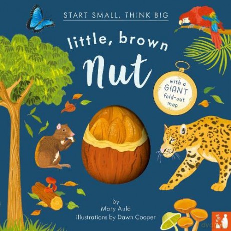 Little Brown Nut - Mary Auld [KSIĄŻKA]
