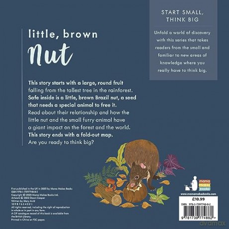 Little Brown Nut - Mary Auld [KSIĄŻKA]
