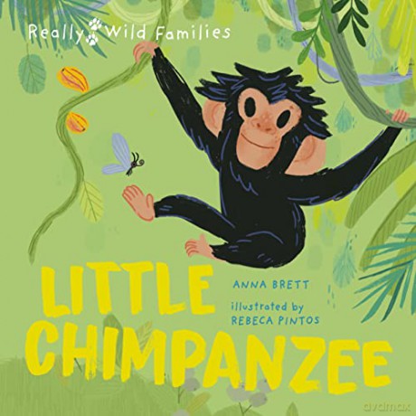 Little Chimpanzee - Anna Brett [KSIĄŻKA]