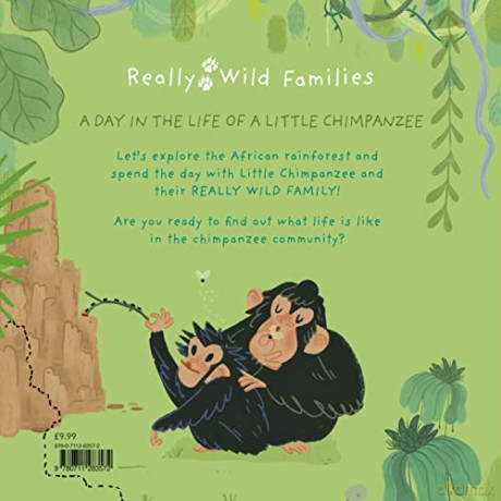 Little Chimpanzee - Anna Brett [KSIĄŻKA]