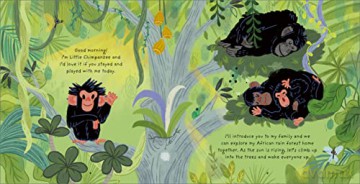 Little Chimpanzee - Anna Brett [KSIĄŻKA]
