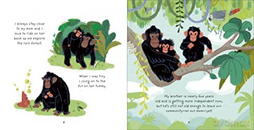 Little Chimpanzee - Anna Brett [KSIĄŻKA]