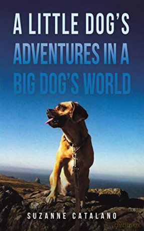 Little Dogs Adventures In A Big Dogs Wor - Suzanne Catalano [KSIĄŻKA]