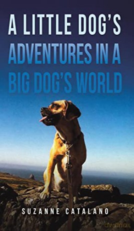 Little Dogs Adventures In A Big Dogs Wor - Suzanne Catalano [KSIĄŻKA]