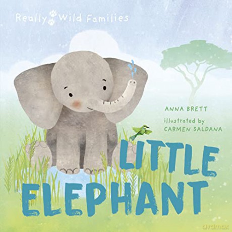 Little Elephant - Anna Brett [KSIĄŻKA]