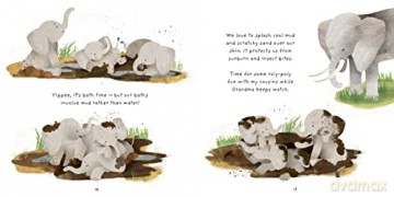 Little Elephant - Anna Brett [KSIĄŻKA]