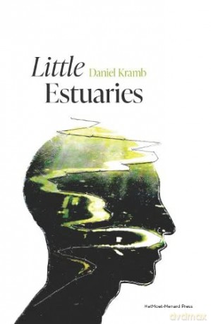 Little Estuaries - Daniel Kramb [KSIĄŻKA]