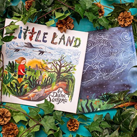 Little Land - Diana Sudyka [KSIĄŻKA]