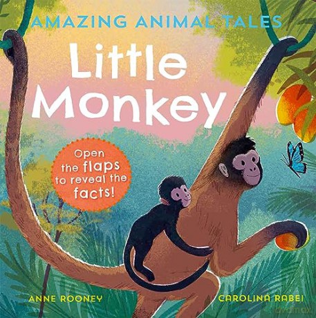 Little Monkey - Anne Rooney [KSIĄŻKA]